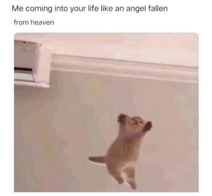 coming-into-life-like-an-angel-fallen-heaven