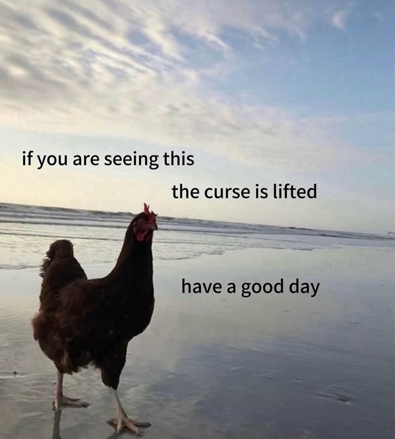 if-are-seeing-this-curse-is-lifted-have-good-day