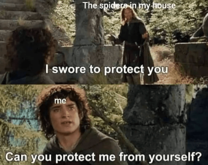 spiders-my-house-swore-protect-can-protect-yourself
