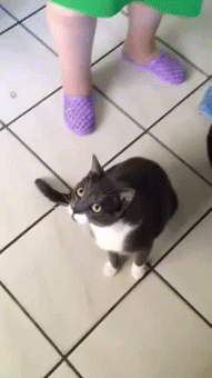 your-attention-please