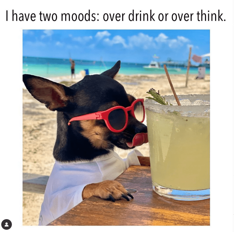 have-two-moods-over-drink-or-over-think