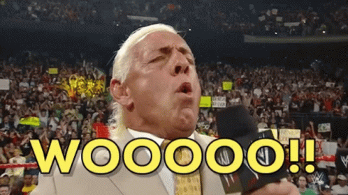 ric-flair-wwe.gif