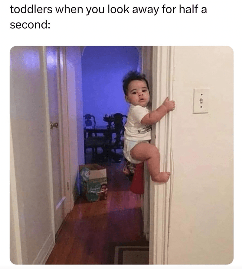 toddlers-look-away-half-second