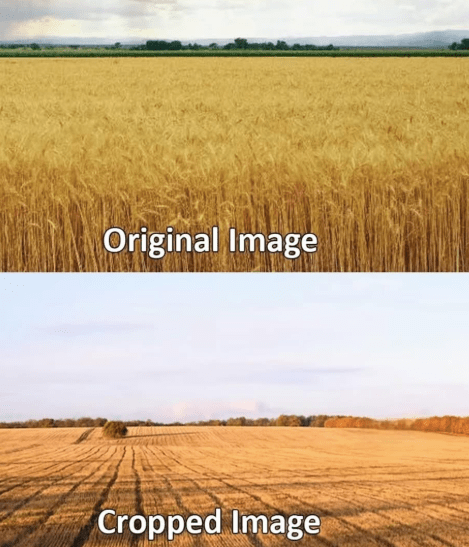 original-image-cropped-image