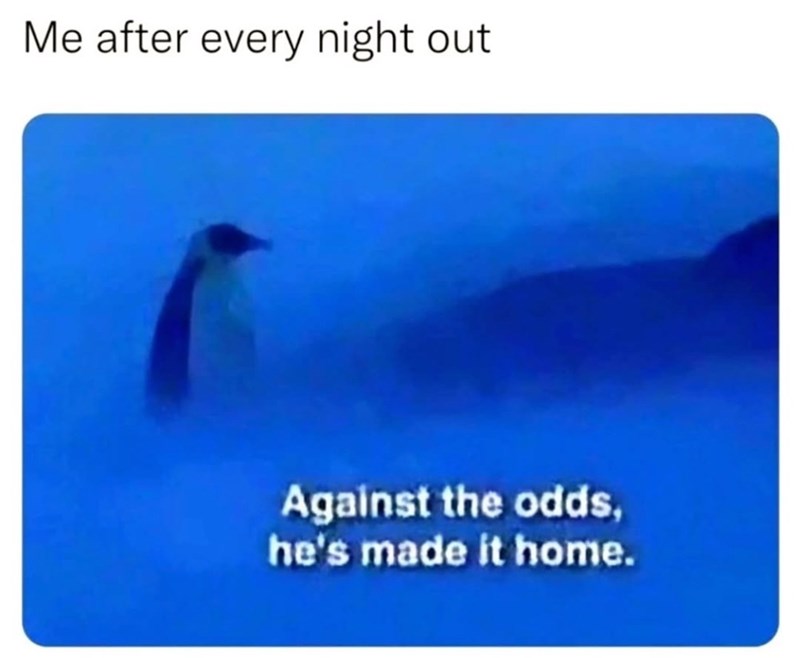 after-every-night-out-against-odds-hes-made-home