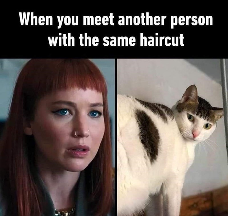 meet-another-person-with-same-haircut-c