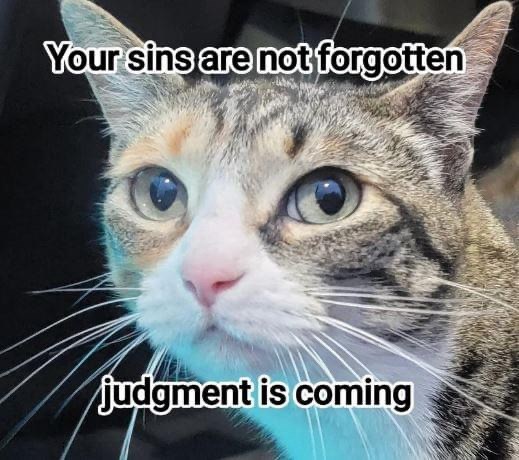 sins-are-not-forgotten-judgment-is-coming