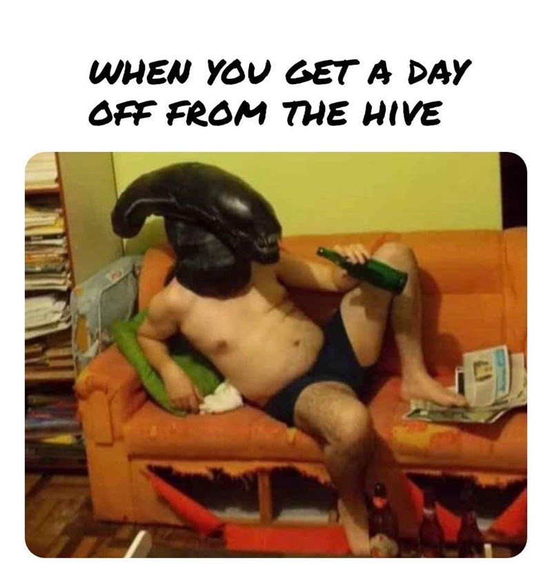 get-day-off-hive
