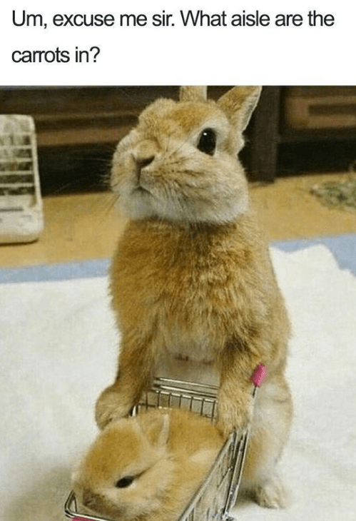 um-excuse-sir-aisle-are-carrots