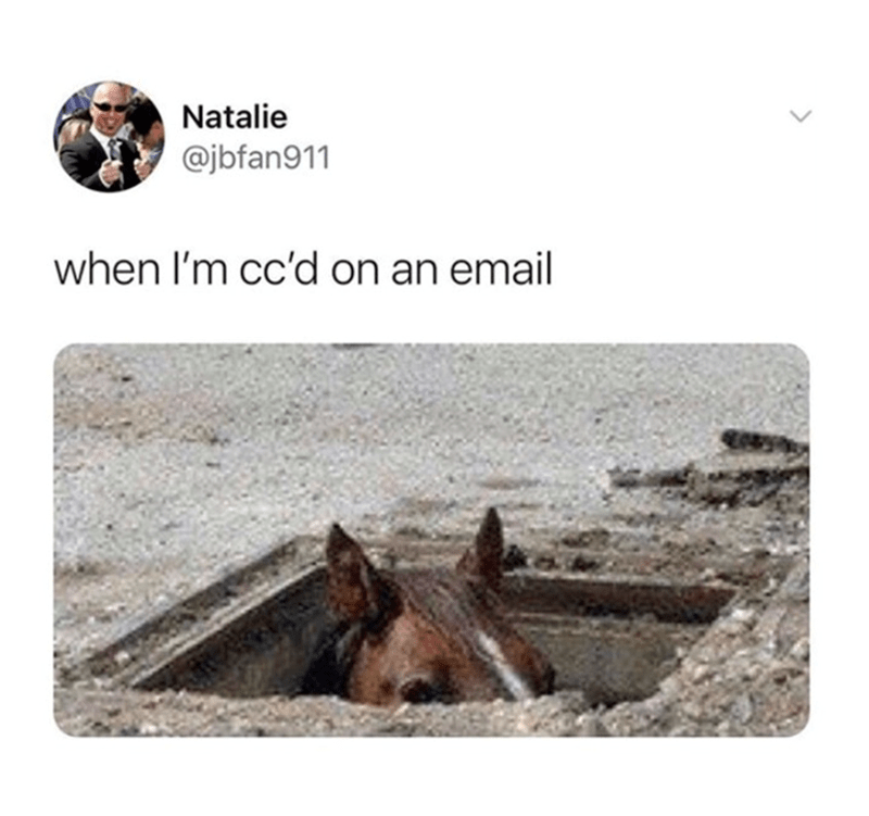 natalie-jbfan911-ccd-on-an-email