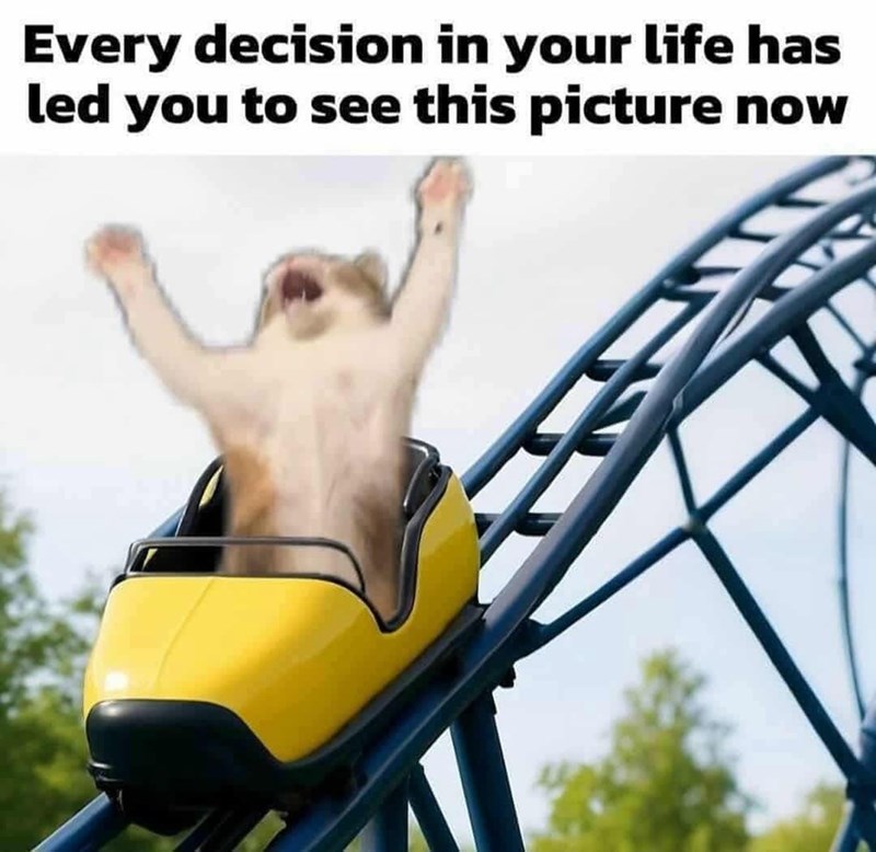 every-decision-life-has-led-see-this-picture-now