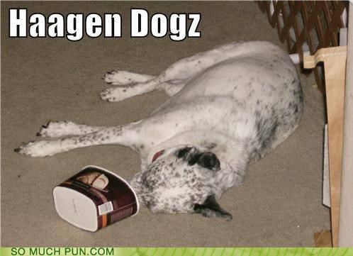 a-little-too-furry-for-my-tastes