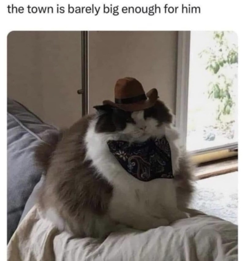 town-is-barely-big-enough-him