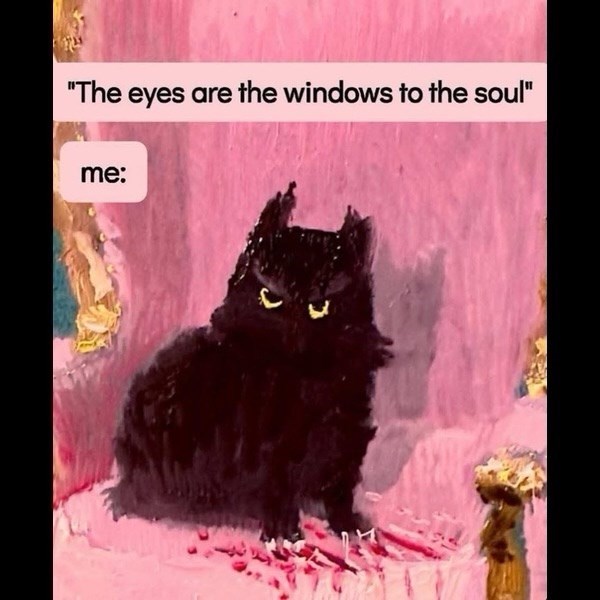 eyes-are-windows-soul-3