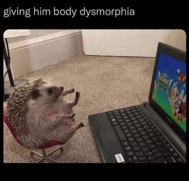 giving-him-body-dysmorphia-sonic