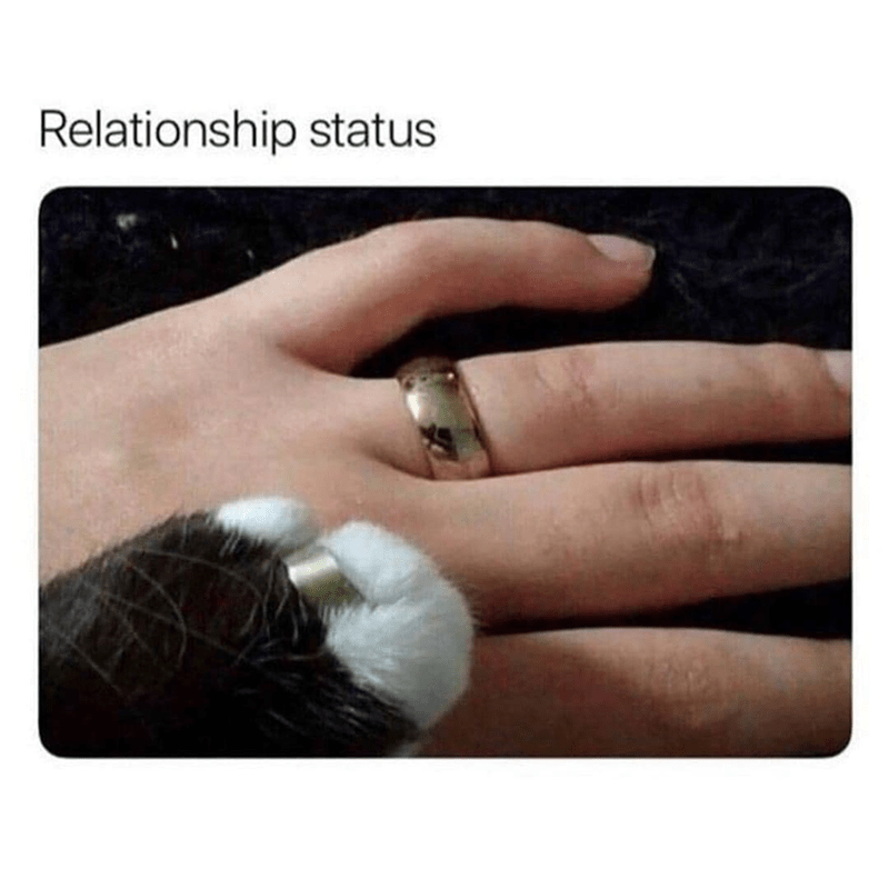 relationship-status