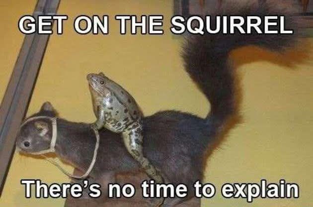 get-on-squirrel-theres-no-time-explain