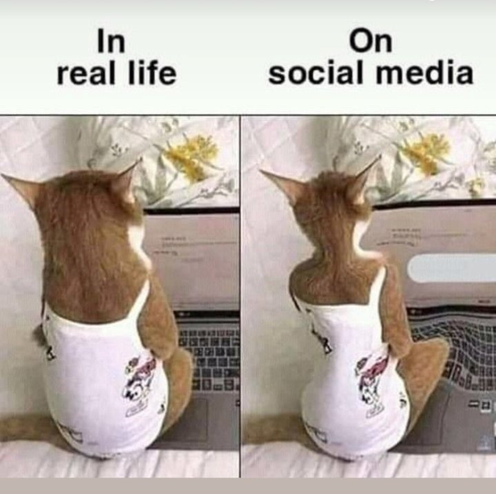 on-real-life-social-media