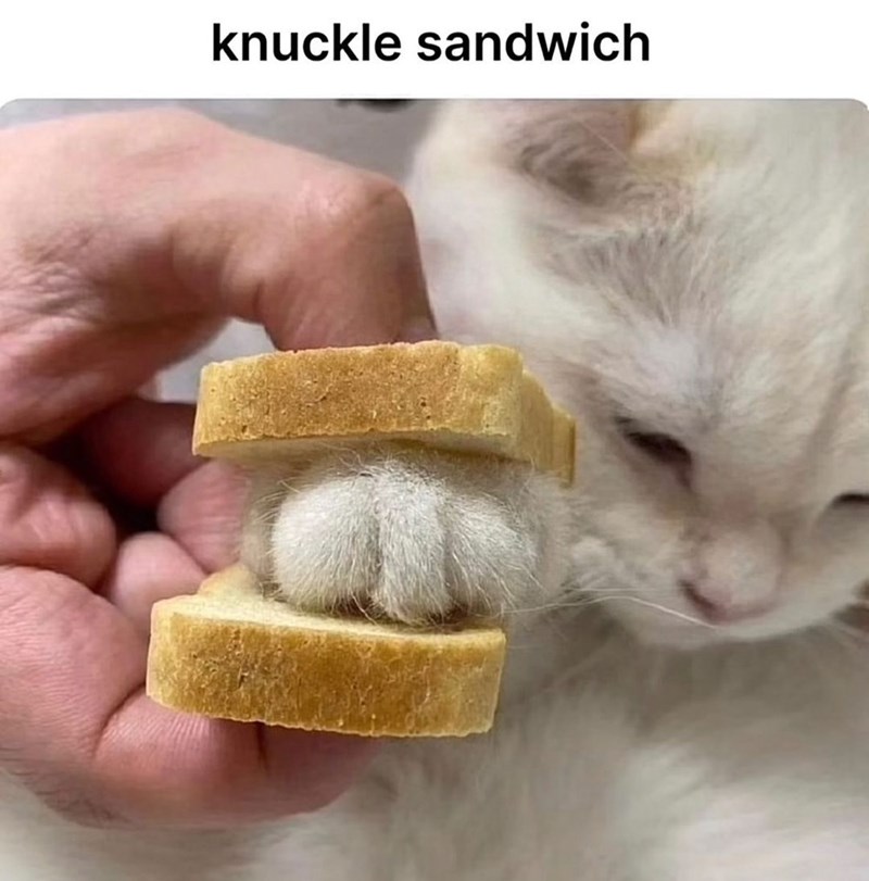 knuckle-sandwich