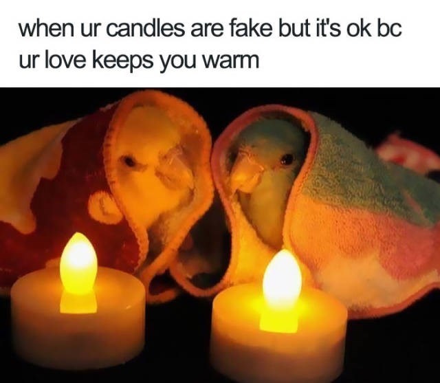 ur-candles-are-fake-but-s-ok-bc-ur-love-keeps-warm