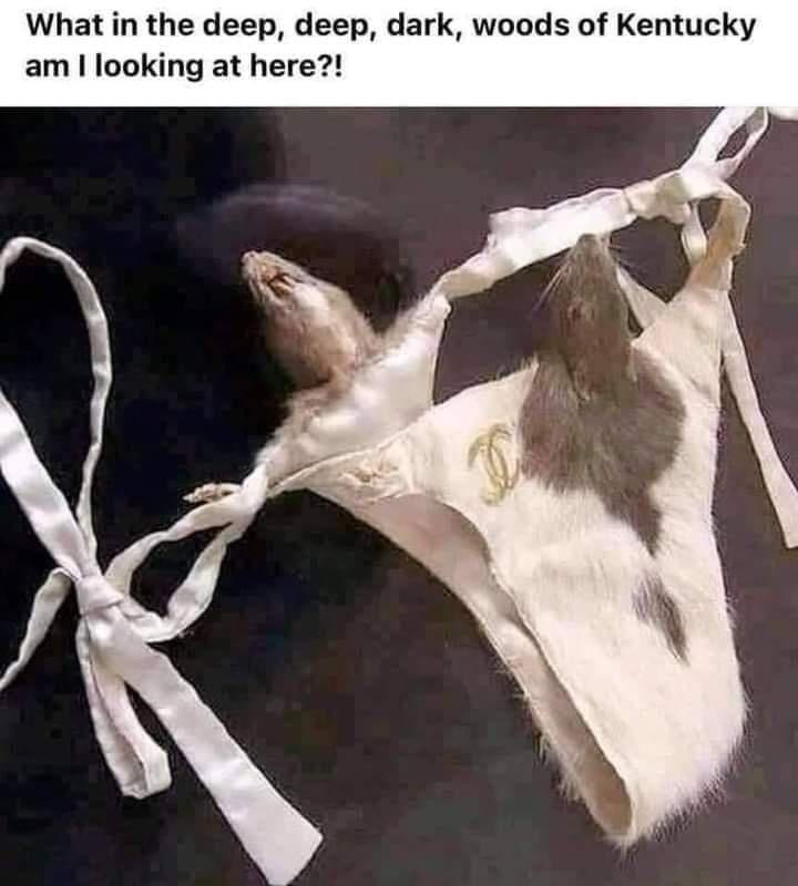 deep-deep-dark-woods-kentucky-am-looking-at-here