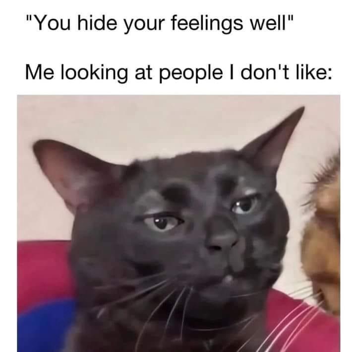 hide-feelings-well-looking-at-people-dont-like