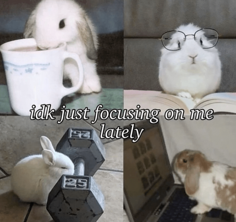 idk-just-focusing-on-flately-25