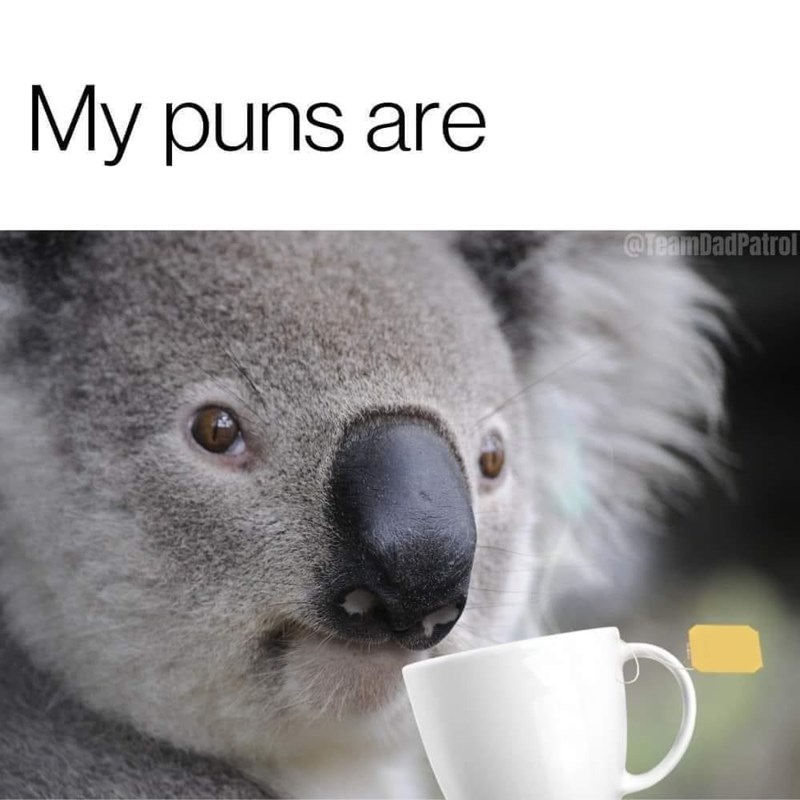 my-puns-are-teamdadpatrol