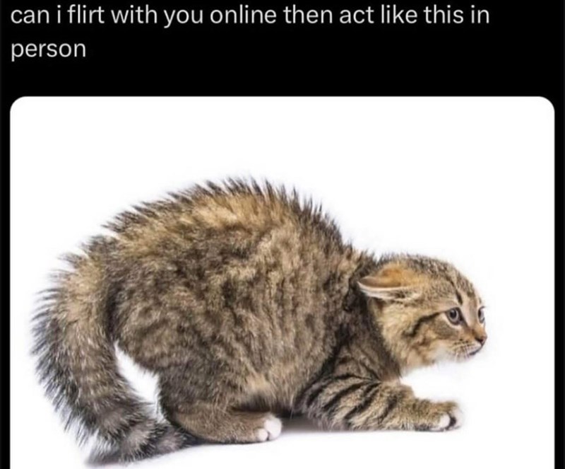 can-flirt-with-online-then-act-like-this-person