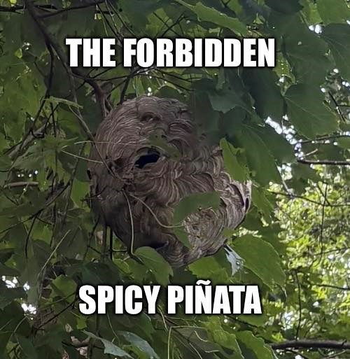 forbidden-spicy-pi%C3%B1ata