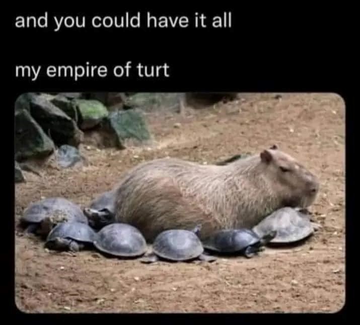 and-could-have-all-my-empire-turt