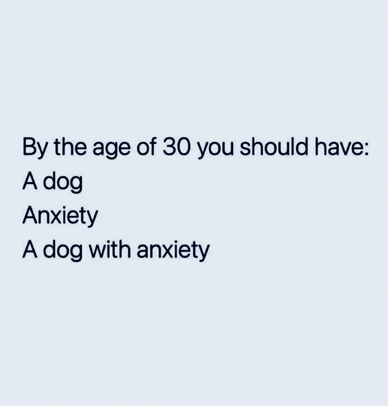 by-age-30-should-have-dog-anxiety-dog-with-anxiety
