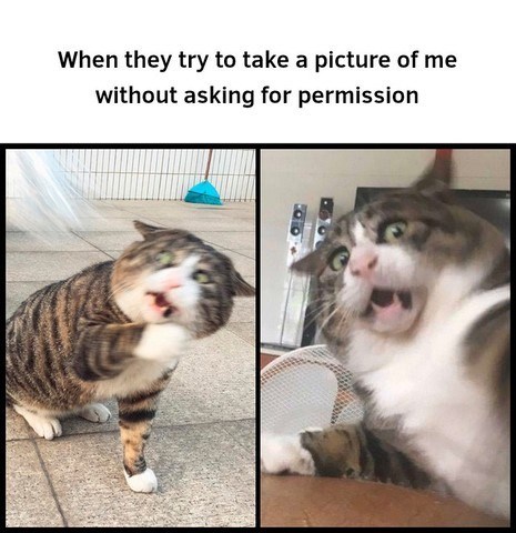 they-try-take-picture-without-asking-permission