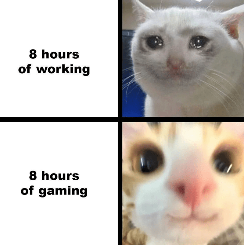8-hours-working-8-hours-gaming