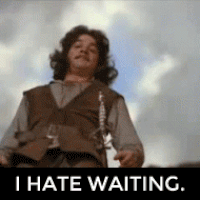 Inigo-Montoya-I-hate-waiting.gif