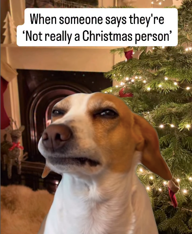 someone-says-theyre-not-really-christmas-person