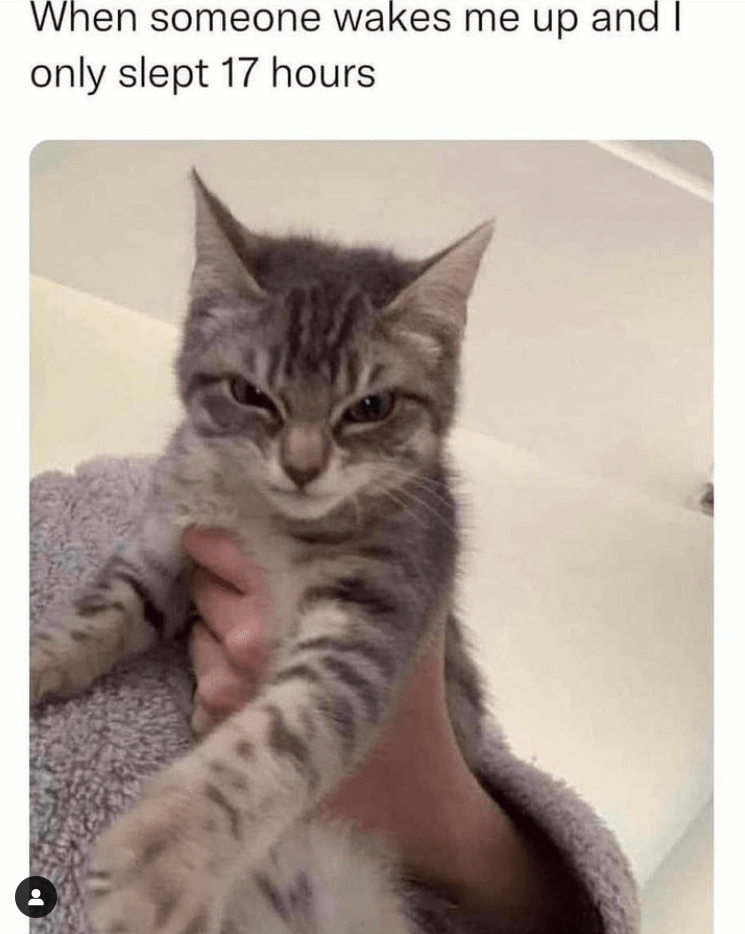 someone-wakes-up-and-only-slept-17-hours