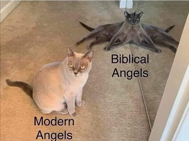 modern-angels-biblical-angels