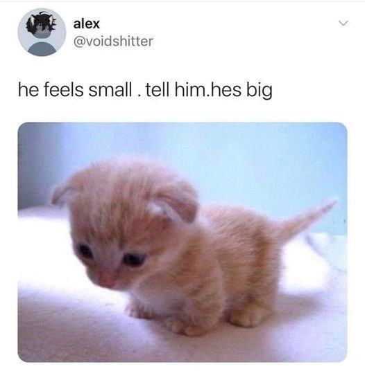 alex-voidshitter-he-feels-small-tell-himhes-big