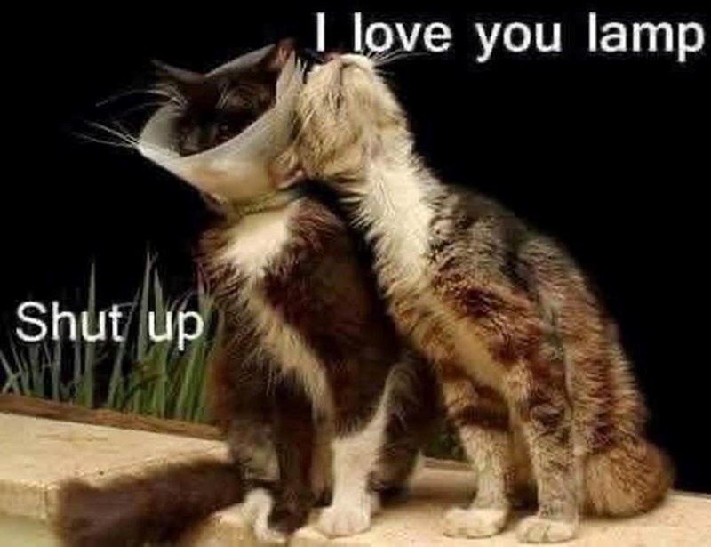 shut-up-love-lamp