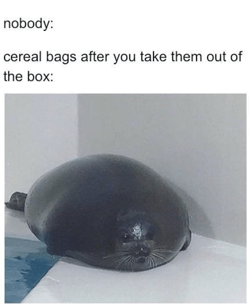 nobody-cereal-bags-after-take-them-out-box