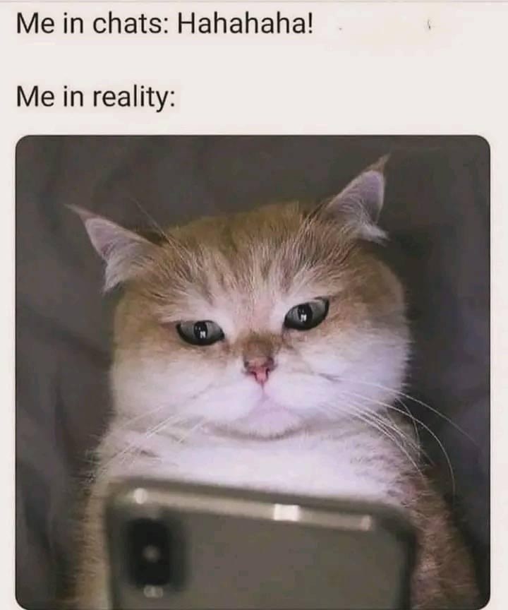 chats-hahahaha-reality