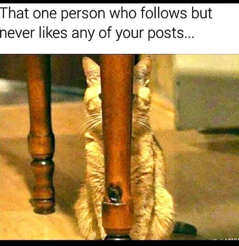 one-person-who-follows-but-never-likes-any-posts