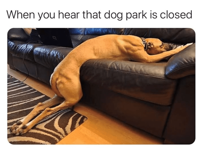 hear-dog-park-is-closed