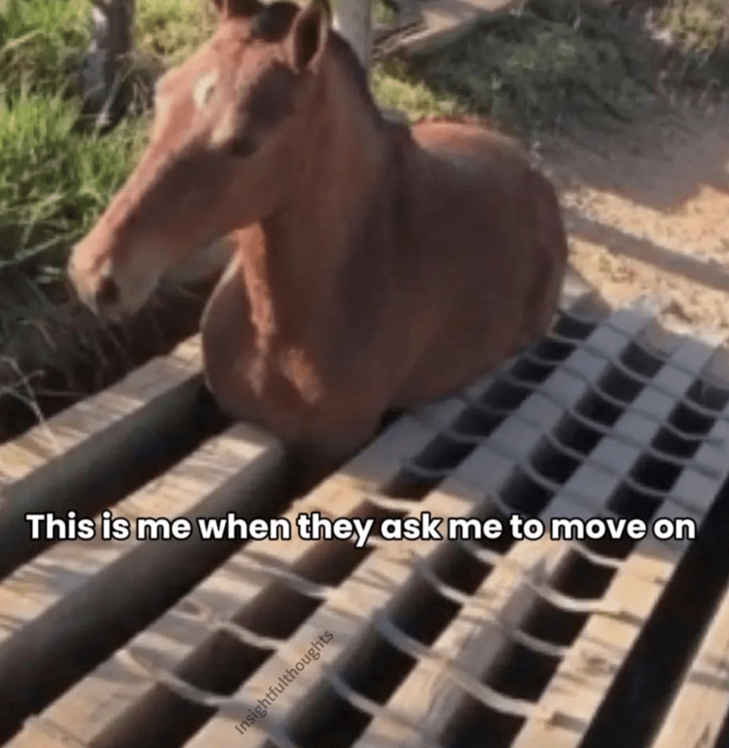 this-is-they-ask-move-on-insightfulthoughts