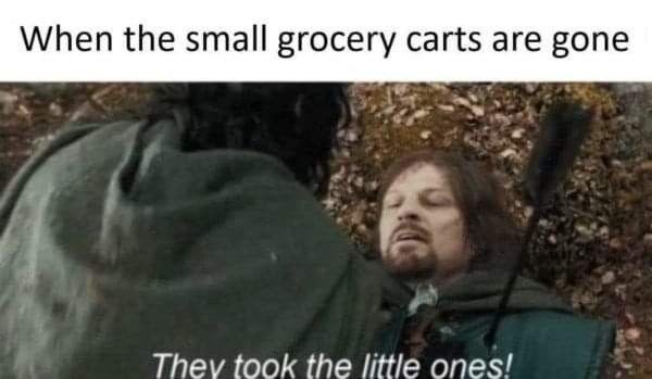 small-grocery-carts-are-gone-they-took-little-ones