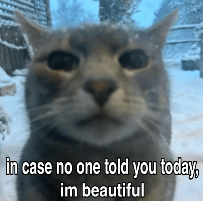 case-no-one-told-today-im-beautiful