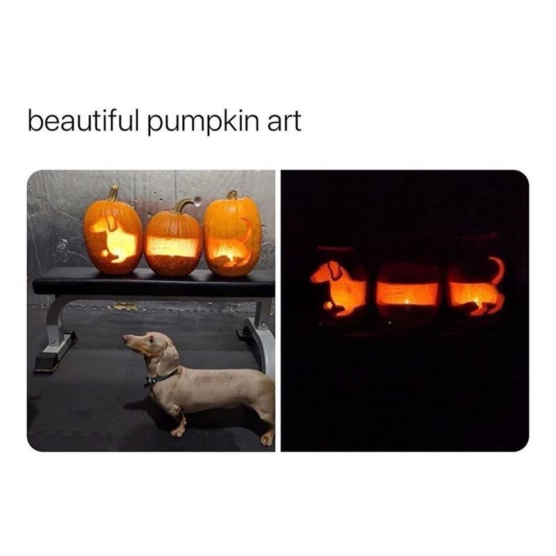 beautiful-pumpkin-art