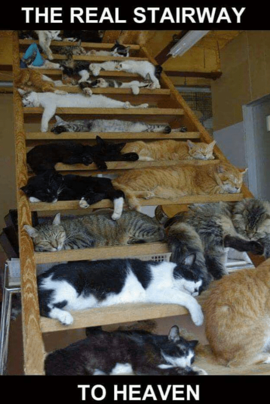 real-stairway-heaven