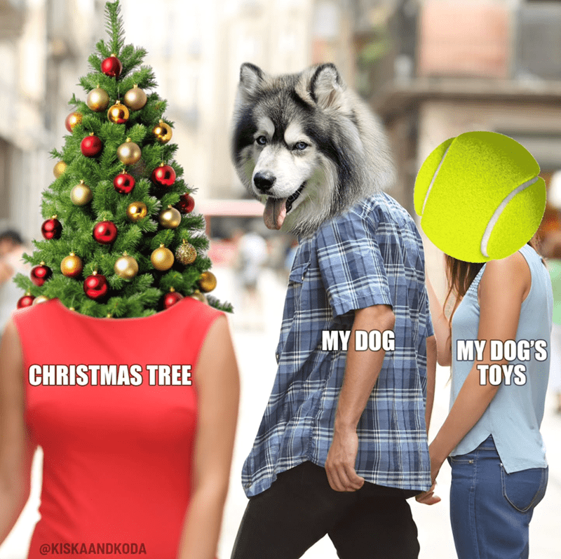 my-dog-christmas-tree-my-dogs-toys-kiskaandkoda